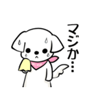マルチーズ姫の日常（個別スタンプ：3）
