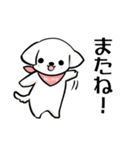 マルチーズ姫の日常（個別スタンプ：7）