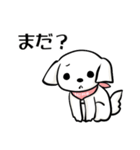 マルチーズ姫の日常（個別スタンプ：8）