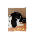 ぼく、のえる！（個別スタンプ：5）