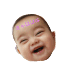 とーふちゃんの会話（個別スタンプ：4）