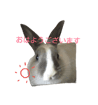 可愛いアイドル（個別スタンプ：1）