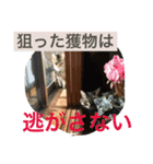 人間よ、これがネコの気持ちだ（個別スタンプ：2）