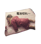 ちょろすけ（個別スタンプ：2）