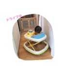 ちょろすけ（個別スタンプ：7）