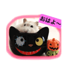 ハムスター★きなことタラ（日常会話）（個別スタンプ：3）