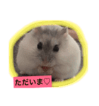 ハムスター★きなことタラ（日常会話）（個別スタンプ：7）