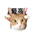 たわし2（個別スタンプ：18）