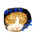 たわし2（個別スタンプ：23）