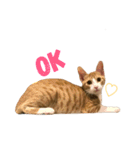 そぼろ（個別スタンプ：13）
