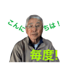 まめとよ81（個別スタンプ：7）