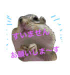 しまりす菜那のひととき5（個別スタンプ：2）