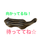しまりす菜那のひととき5（個別スタンプ：6）