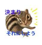 しまりす菜那のひととき5（個別スタンプ：8）