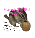 しまりす菜那のひととき5（個別スタンプ：12）