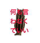 しまりす菜那のひととき5（個別スタンプ：14）