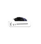 寺猫ズ（個別スタンプ：14）