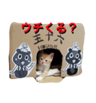 五十六スタンプ2（個別スタンプ：5）