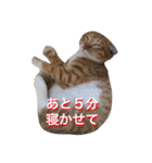 五十六スタンプ2（個別スタンプ：11）