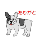 フレンチブルドッグによる24の会話（個別スタンプ：1）