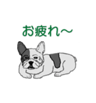 フレンチブルドッグによる24の会話（個別スタンプ：4）