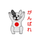 フレンチブルドッグによる24の会話（個別スタンプ：5）