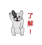 フレンチブルドッグによる24の会話（個別スタンプ：6）