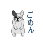 フレンチブルドッグによる24の会話（個別スタンプ：7）