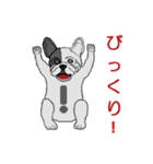 フレンチブルドッグによる24の会話（個別スタンプ：9）