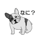 フレンチブルドッグによる24の会話（個別スタンプ：13）