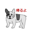 フレンチブルドッグによる24の会話（個別スタンプ：14）