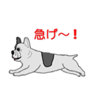 フレンチブルドッグによる24の会話（個別スタンプ：15）