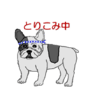 フレンチブルドッグによる24の会話（個別スタンプ：18）