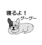 フレンチブルドッグによる24の会話（個別スタンプ：19）
