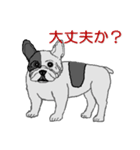 フレンチブルドッグによる24の会話（個別スタンプ：20）