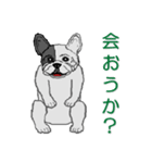 フレンチブルドッグによる24の会話（個別スタンプ：22）