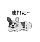 フレンチブルドッグによる24の会話（個別スタンプ：23）