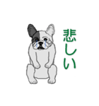 フレンチブルドッグによる24の会話（個別スタンプ：24）