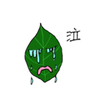 not the norm leaf（個別スタンプ：37）