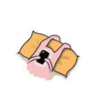 Edward The Rabbit（個別スタンプ：13）