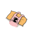 Edward The Rabbit（個別スタンプ：14）