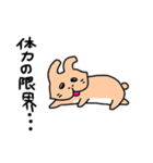 うさぎのぽてと（個別スタンプ：38）