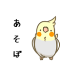 インコたちのスタンプ（個別スタンプ：2）