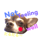 ナナオ先輩（個別スタンプ：14）