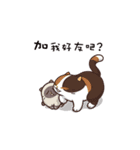 Meow Remix Stickers 01（個別スタンプ：1）