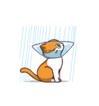 Meow Remix Stickers 01（個別スタンプ：24）