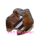 ちゃとる と こてつ（個別スタンプ：3）