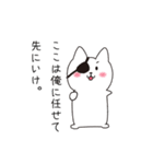 ねこぱっち7（個別スタンプ：5）