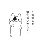 ねこぱっち7（個別スタンプ：10）