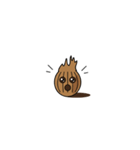 Coconut（個別スタンプ：1）